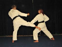 Image result for Redhill Karate Association