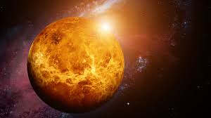 Image result for venus