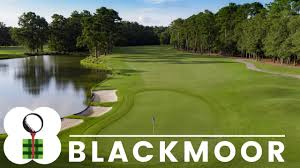 Image result for Blackmoor Golf Club