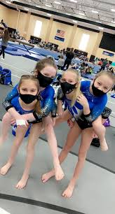 Image result for Newton Abbot Somersaults Gc