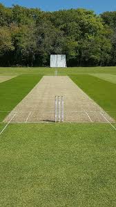 Image result for Valley End Cricket Club