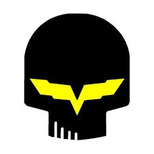 Bildresultat för jake skull