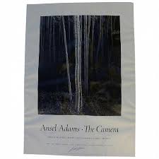 Image result for Ansel Adams Aspens New Mexico