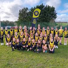 Image result for Camelot Netball Club