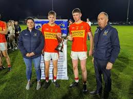 Image result for Moycarkey-Borris Gaa Club
