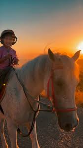 Image result for Woodhill Riding Club