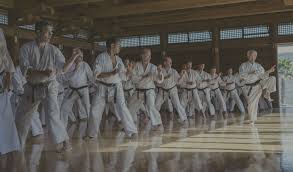 Image result for Caversham Karate Club SSKA