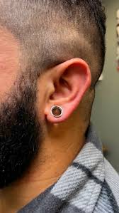 Image result for ear mod