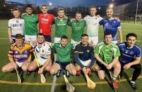 Image result for University Of Limerick Gaa Hurling Club