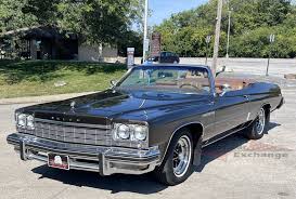 Image result for Horizon Blue 1975 Buick