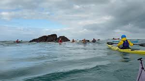 Image result for Jersey Canoe Club