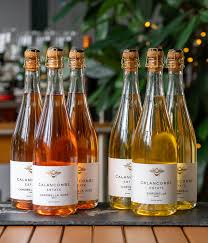 Image result for carobella