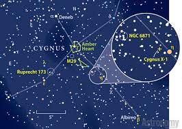 Attēlu rezultāti vaicājumam “Cygnus”