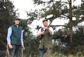 Image result for Newdigate Clays