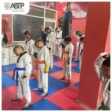 Image result for Martial Art Centre of Excellence