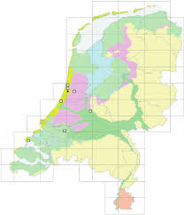 Attēlu rezultāti vaicājumam “Isothecium alopecuroides sporophyte”