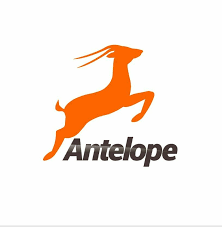 Image result for Antelope & Castle Cricket Club