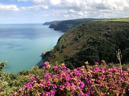 Image result for Ilfracombe & N Devon