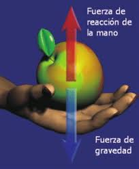 Resultado de imagen para imagenes de accion reaccion