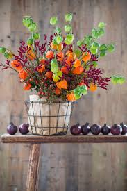 Attēlu rezultāti vaicājumam “Physalis alkekengi flower”