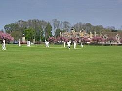 Image result for Corsham Cricket Club