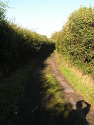 Image result for Horsmonden Cc