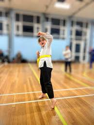 Image result for southern academy choi kwang do