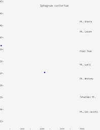 Attēlu rezultāti vaicājumam “Sphagnum contortum”