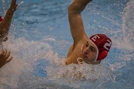 Image result for Exeter Waterpolo and Swimming Club