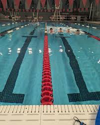 Image result for Cults Otters Amateur Swimming Club