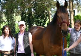 Image result for Shey Copse Riding Centre