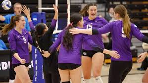 Image result for York University Volleyball Club