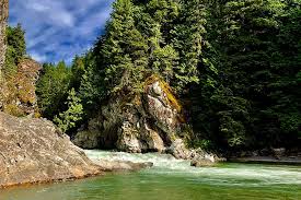 Image result for Leek Park B C