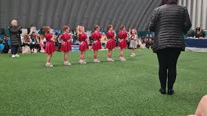 Image result for Ince Rosebridge Sports & Community Club