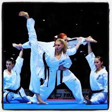 Image result for Independent Wadoryu Karate Federation