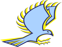 Image result for Fetcham Netball Club