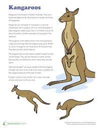 Image result for Reading Kangaroos