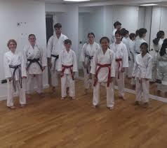 Image result for Devonport Shotokan Karate Club