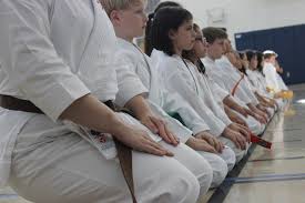 Image result for Excalibur Shotokan Karate Club