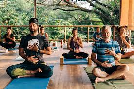 Image result for Hatha Yoga Club