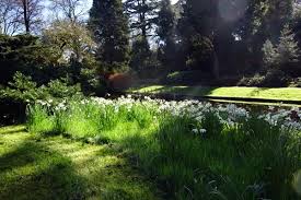 Image result for Arboretum Trompenburg