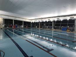 Image result for Lutterworth Swimming Club