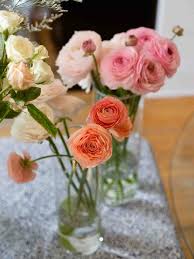 Attēlu rezultāti vaicājumam “Ranunculus mendax flower”