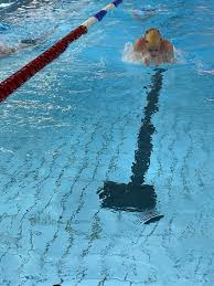 Image result for Loftus Dolphins Swimming Club