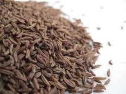 Attēlu rezultāti vaicājumam “Carum carvi”