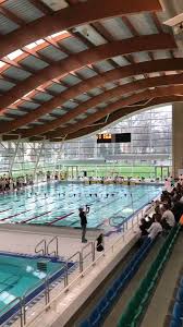Image result for Cambridge University Swim Team