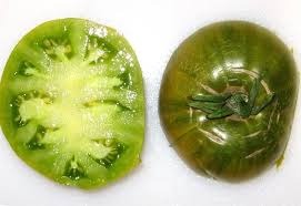 Afbeeldingsresultaat voor grubbs mystery green tomato