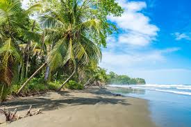 Image result for cahuita costa rica