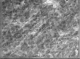 Attēlu rezultāti vaicājumam “Diprionidae cocoon”