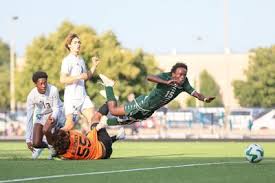 Image result for Meadows Sports Association